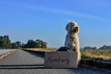 News 'Ahoi! — Die TINCON kommt nach Hamburg!' lesen