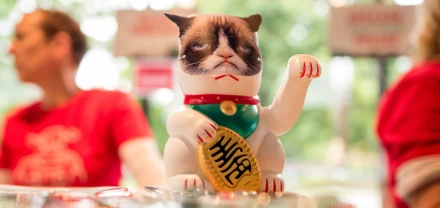 News 'TINCON-Fördermitgliedschaft: Das perfekte Geschenk für digitale Weihnachtsfeiern' lesen