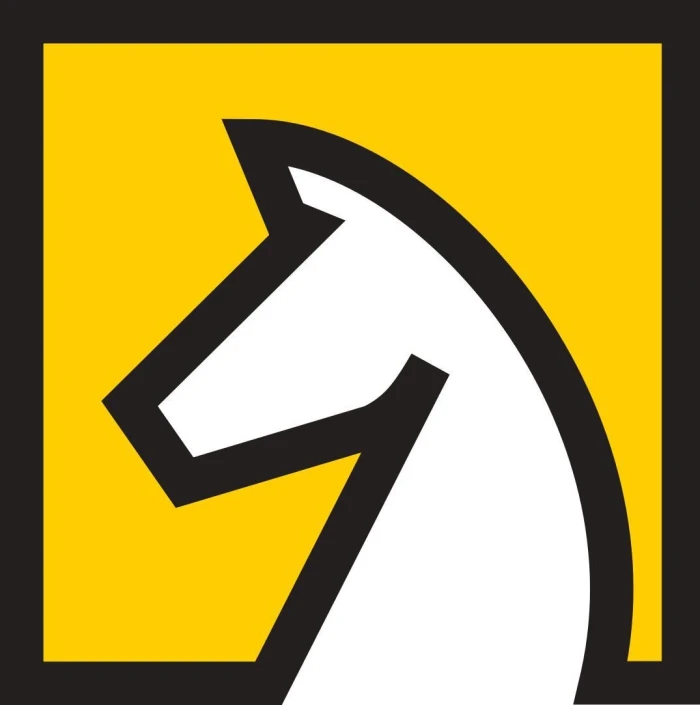 Profilbild von Deutsche Schachjugend