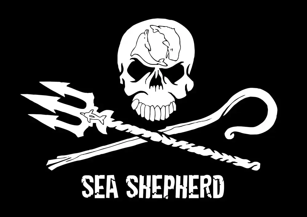 Foto von Sea Shepherd